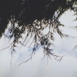 Meet your Posher, Roxanne